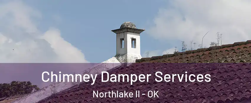 Chimney Damper Services Northlake II - OK