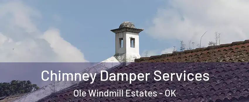 Chimney Damper Services Ole Windmill Estates - OK