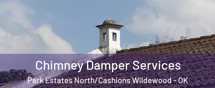 Chimney Damper Services Park Estates North/Cashions Wildewood - OK