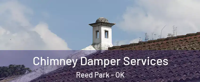 Chimney Damper Services Reed Park - OK