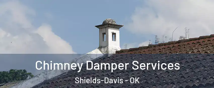 Chimney Damper Services Shields-Davis - OK
