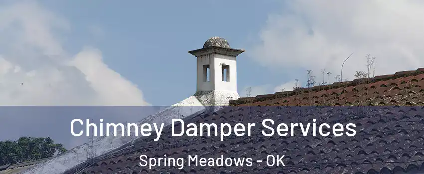 Chimney Damper Services Spring Meadows - OK