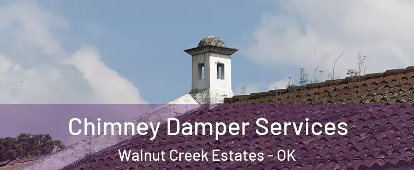 Chimney Damper Services Walnut Creek Estates - OK