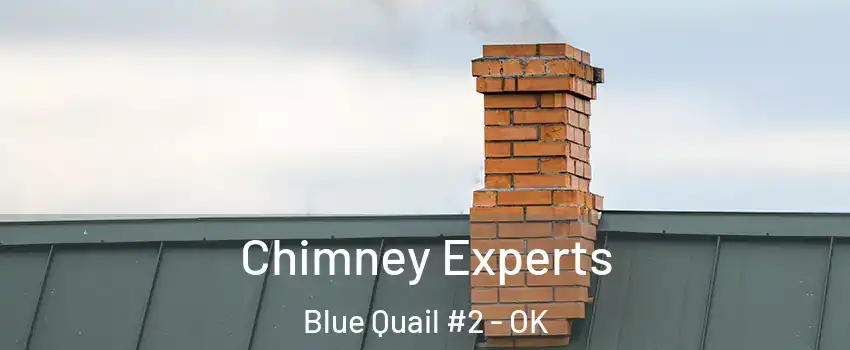 Chimney Experts Blue Quail #2 - OK