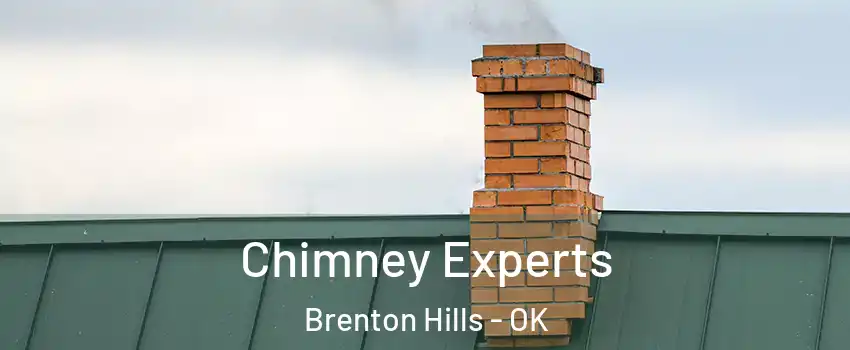 Chimney Experts Brenton Hills - OK