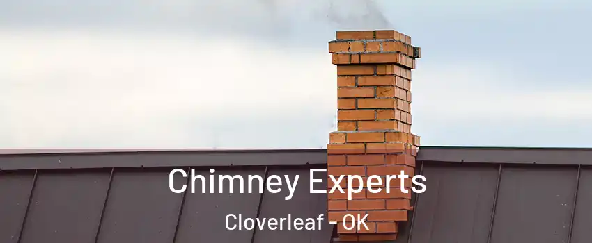 Chimney Experts Cloverleaf - OK