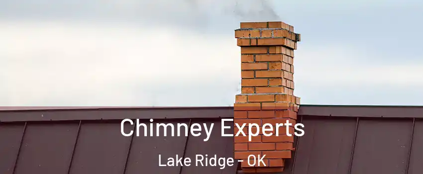 Chimney Experts Lake Ridge - OK