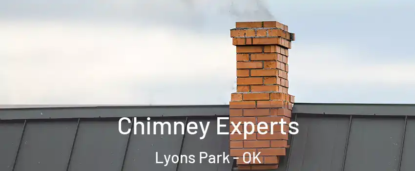 Chimney Experts Lyons Park - OK