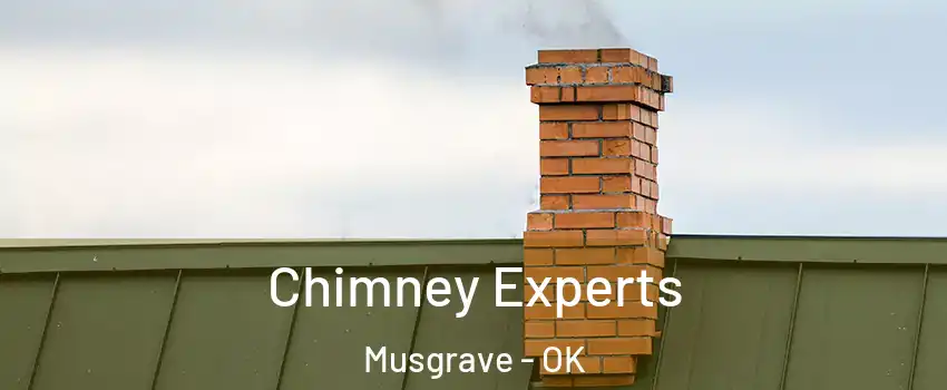 Chimney Experts Musgrave - OK