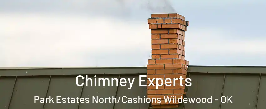 Chimney Experts Park Estates North/Cashions Wildewood - OK