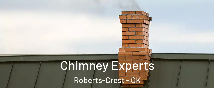 Chimney Experts Roberts-Crest - OK