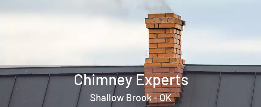 Chimney Experts Shallow Brook - OK