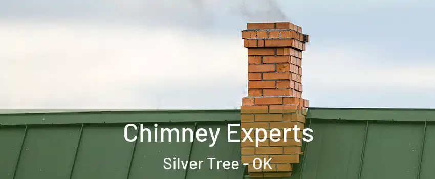 Chimney Experts Silver Tree - OK
