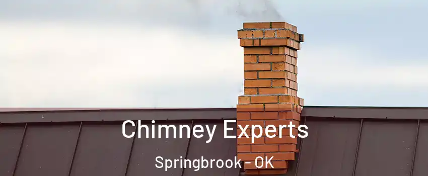Chimney Experts Springbrook - OK