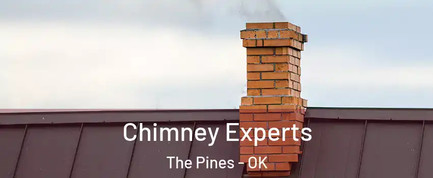 Chimney Experts The Pines - OK