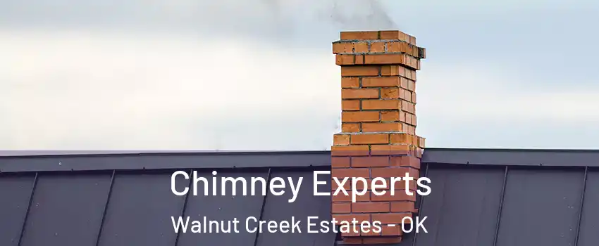Chimney Experts Walnut Creek Estates - OK
