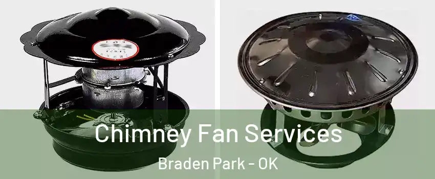 Chimney Fan Services Braden Park - OK