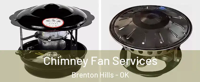 Chimney Fan Services Brenton Hills - OK