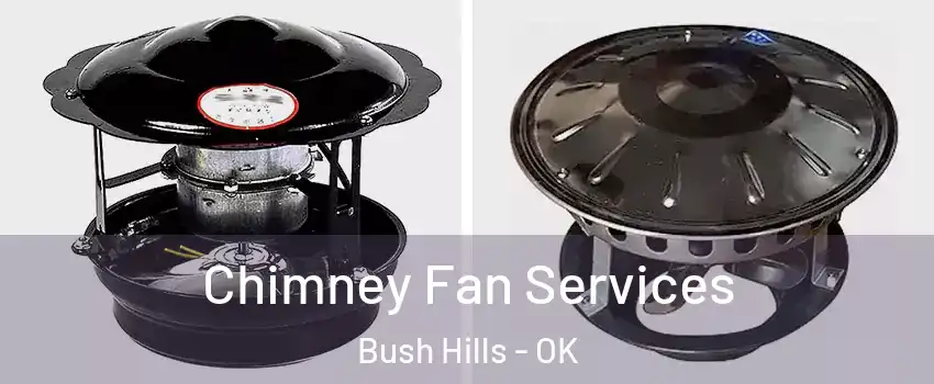 Chimney Fan Services Bush Hills - OK