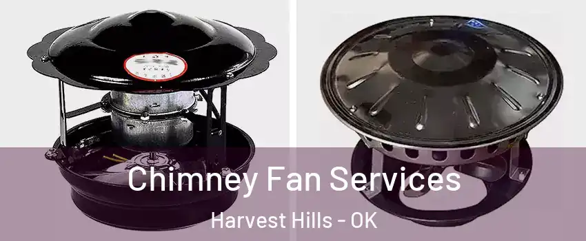 Chimney Fan Services Harvest Hills - OK