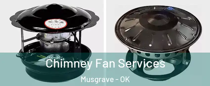 Chimney Fan Services Musgrave - OK