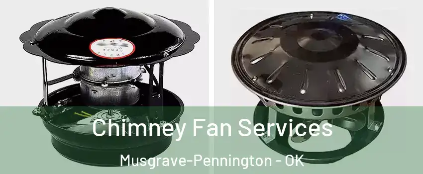Chimney Fan Services Musgrave-Pennington - OK
