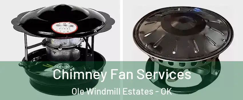 Chimney Fan Services Ole Windmill Estates - OK