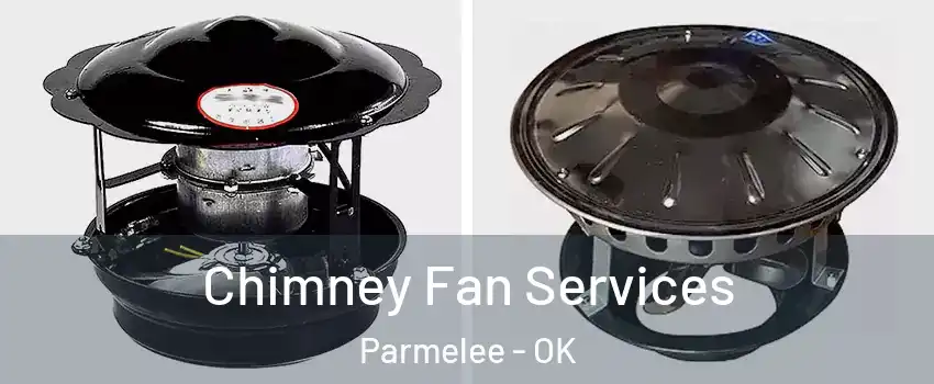 Chimney Fan Services Parmelee - OK