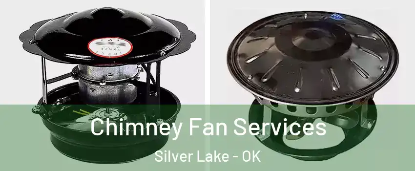Chimney Fan Services Silver Lake - OK