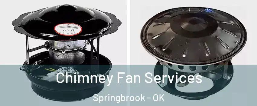 Chimney Fan Services Springbrook - OK