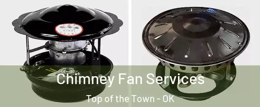 Chimney Fan Services Top of the Town - OK