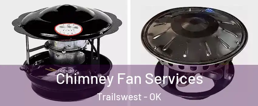Chimney Fan Services Trailswest - OK