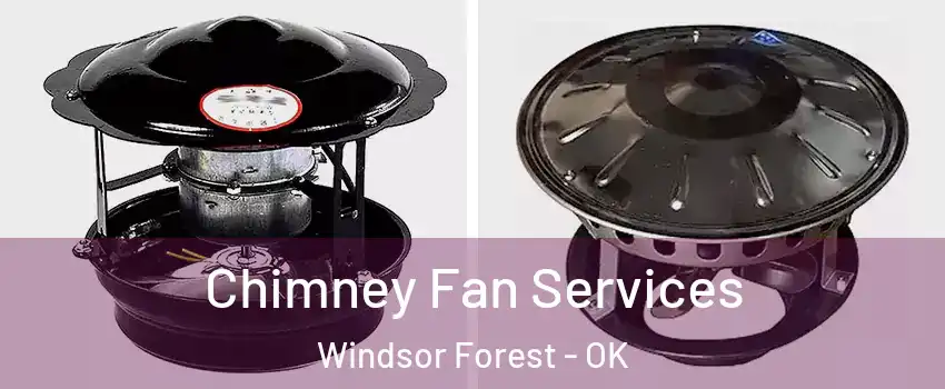 Chimney Fan Services Windsor Forest - OK