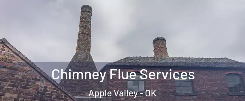 Chimney Flue Services Apple Valley - OK