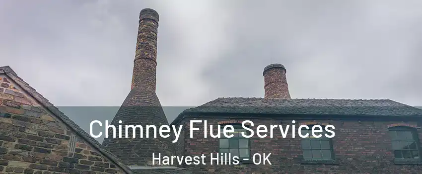 Chimney Flue Services Harvest Hills - OK