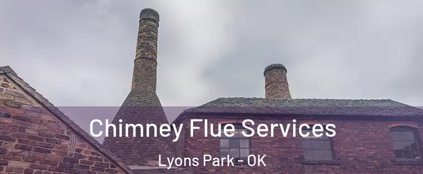 Chimney Flue Services Lyons Park - OK