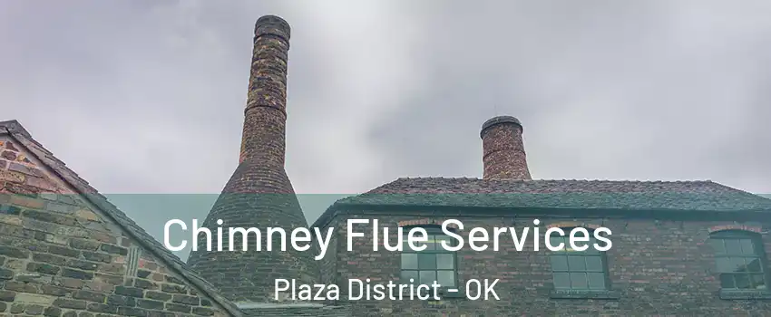 Chimney Flue Services Plaza District - OK