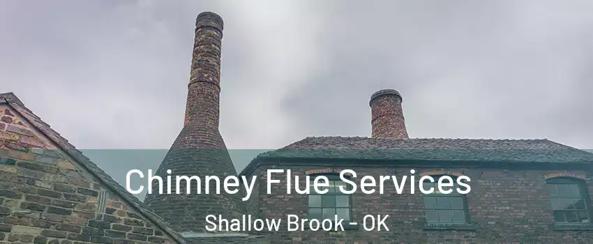 Chimney Flue Services Shallow Brook - OK