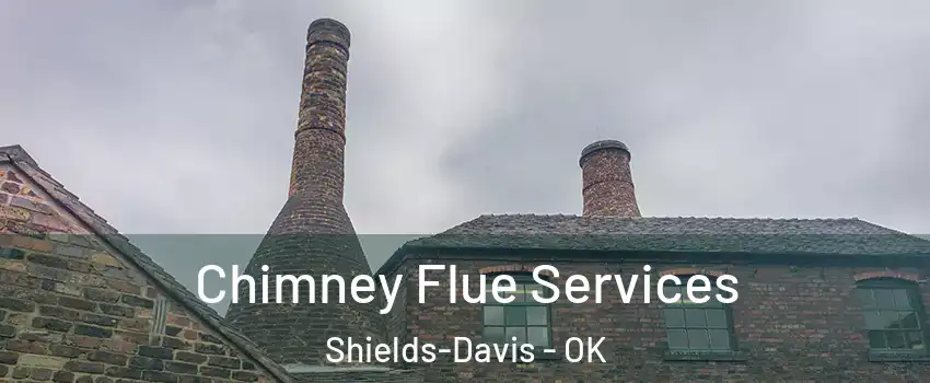 Chimney Flue Services Shields-Davis - OK