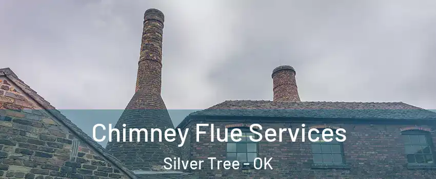 Chimney Flue Services Silver Tree - OK