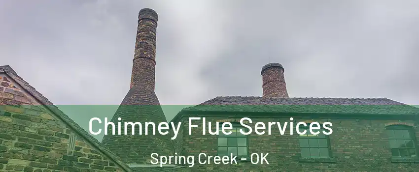 Chimney Flue Services Spring Creek - OK