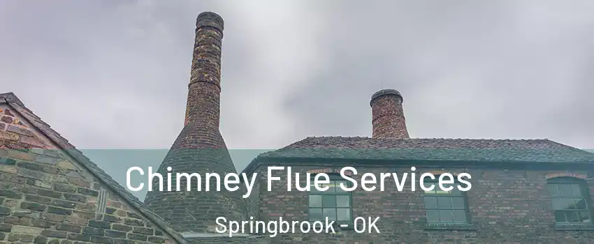 Chimney Flue Services Springbrook - OK