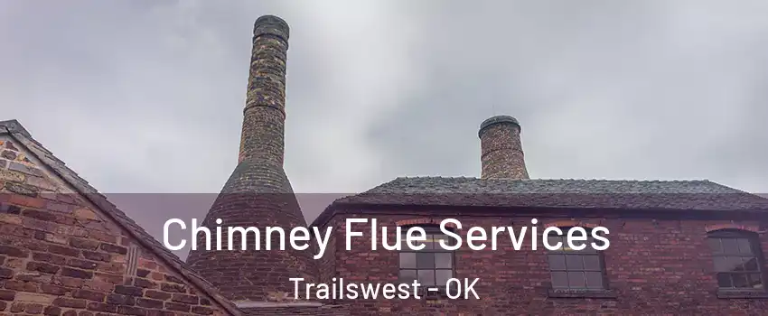 Chimney Flue Services Trailswest - OK