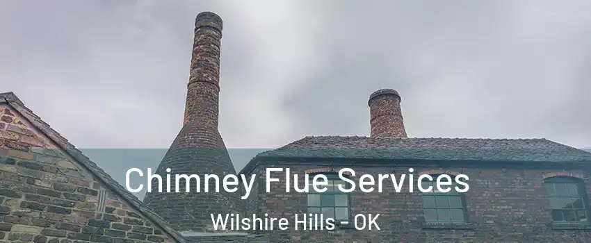 Chimney Flue Services Wilshire Hills - OK