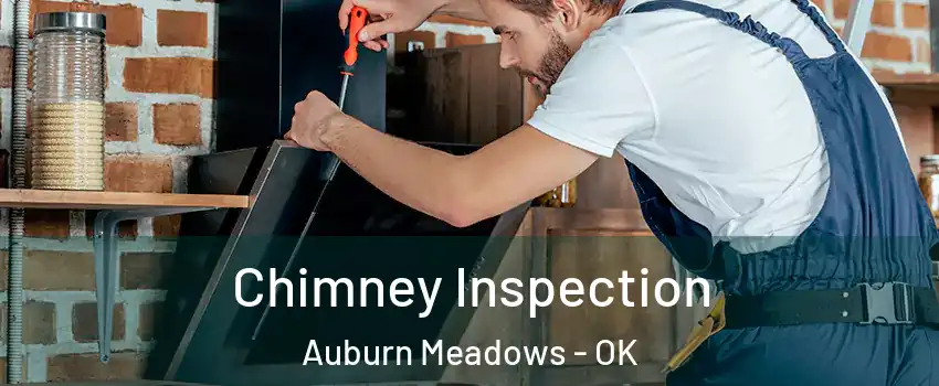 Chimney Inspection Auburn Meadows - OK