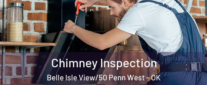 Chimney Inspection Belle Isle View/50 Penn West - OK