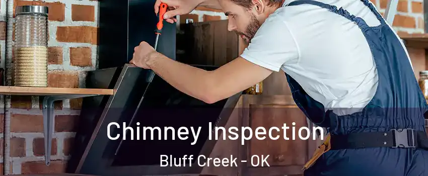 Chimney Inspection Bluff Creek - OK