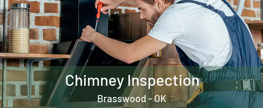 Chimney Inspection Brasswood - OK