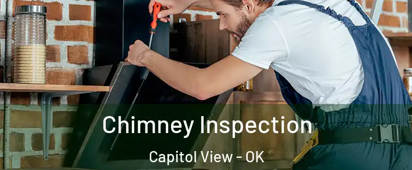 Chimney Inspection Capitol View - OK