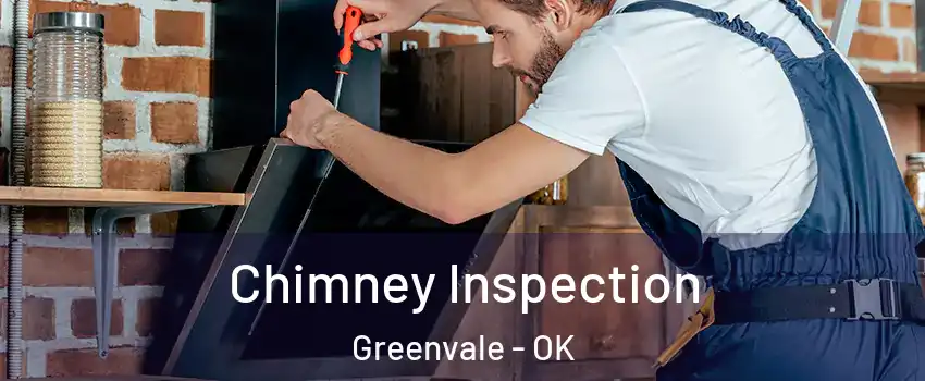 Chimney Inspection Greenvale - OK